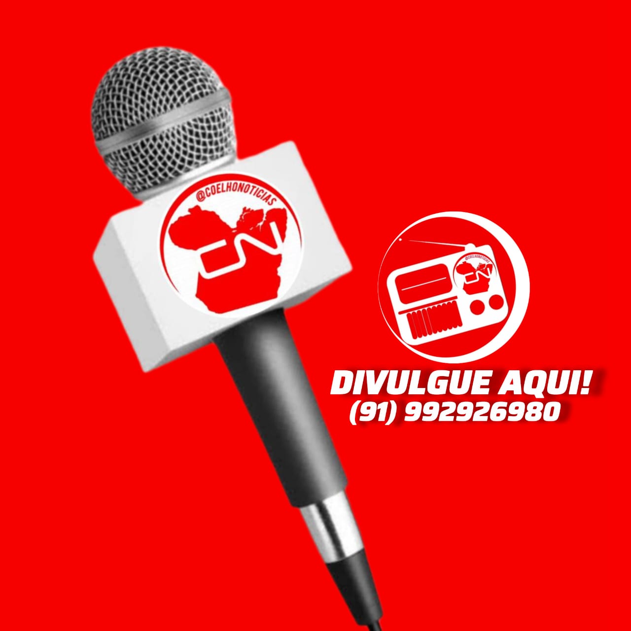 MUNDO COELHO NOTÍCIAS