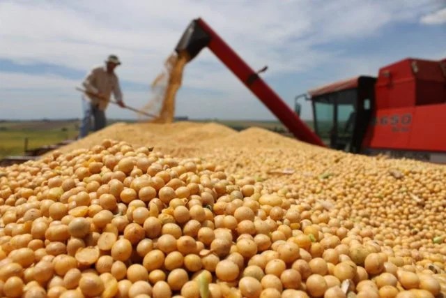 EM MEIO A TARIFAÇO, CHINA É PRINCIPAL DESTINO DA SOJA PARAENSE, MAS SETOR TÊM DESAFIOS FINANCEIROS