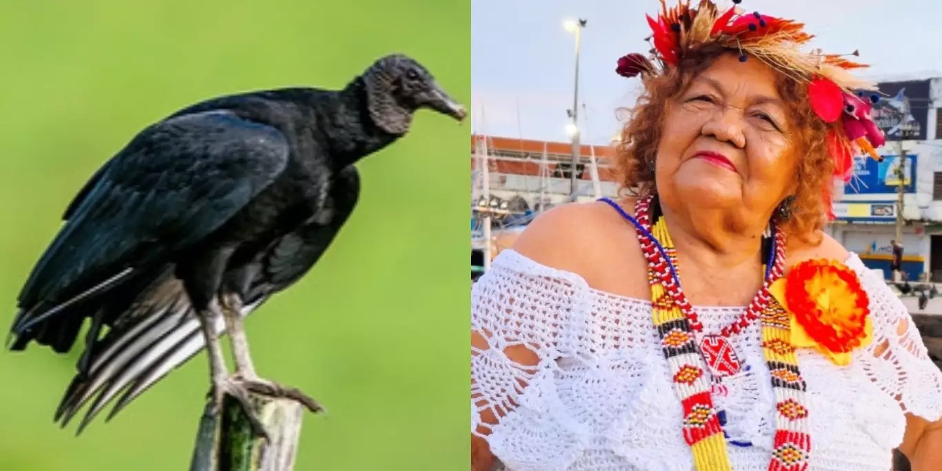 URUBU MALANDRO É UM PÁSSARO OU BANDIDO? CONHEÇA A POSSÍVEL HISTÓRIA POR TRÁS DA MÚSICA DE DONA ONETE