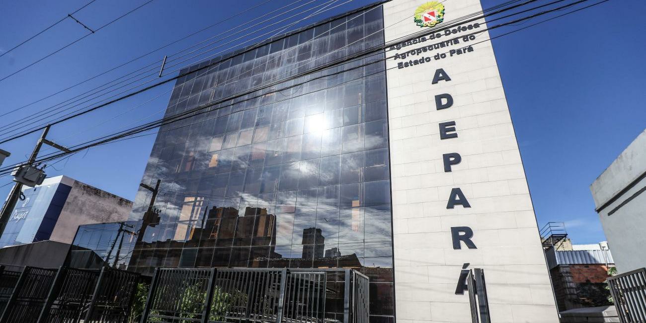 PROCESSO SELETIVO DA ADEPARÁ OFERECE VAGAS PARA NÍVEIS FUNDAMENTAL, ÉDIO E SUPERIOR